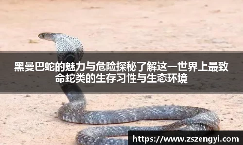 黑曼巴蛇的魅力与危险探秘了解这一世界上最致命蛇类的生存习性与生态环境